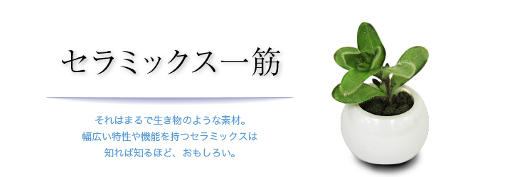 セラミックス一筋